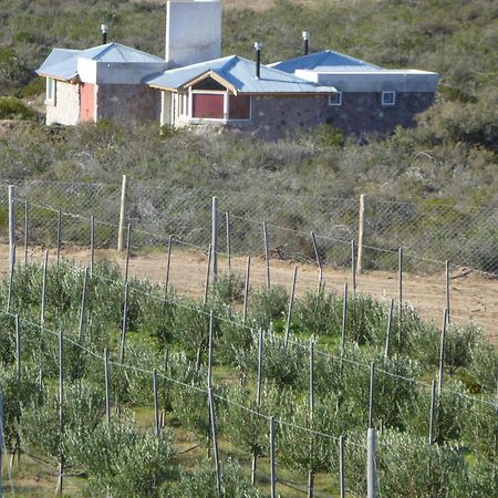 La Calandria Casa De Campo Villa Puerto Madryn Luaran gambar