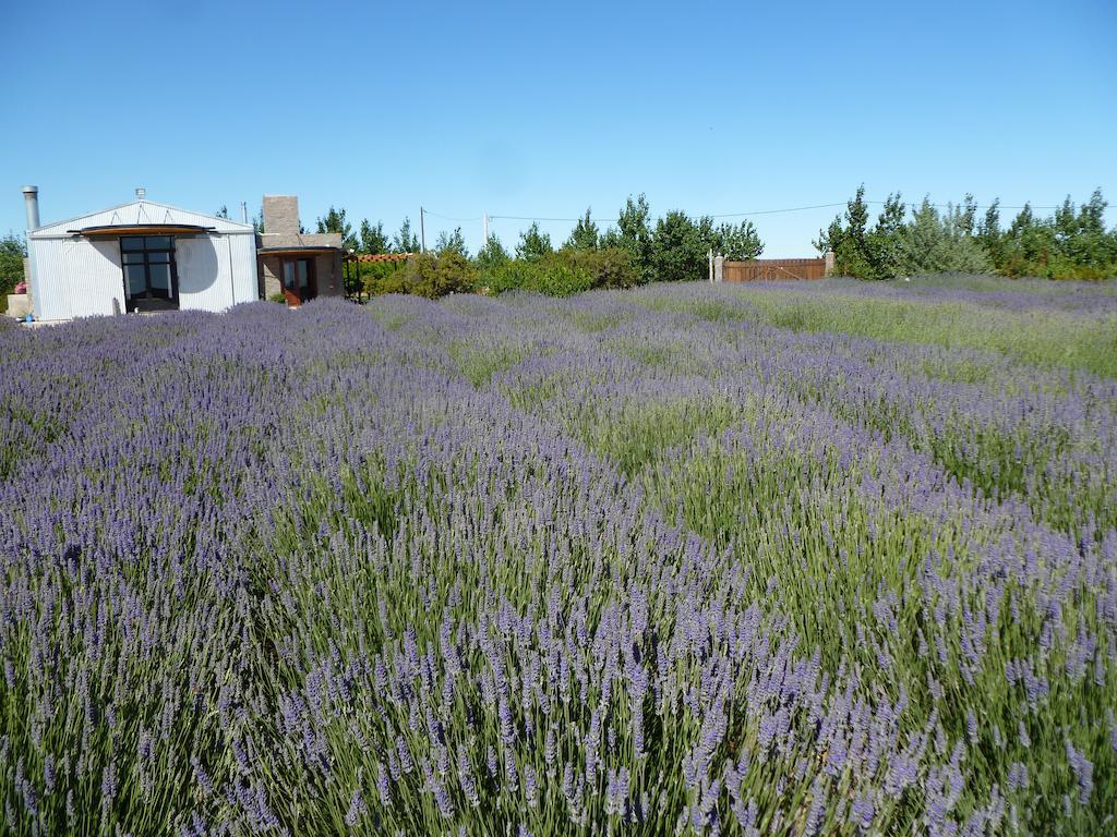 La Calandria Casa De Campo Villa Puerto Madryn Luaran gambar