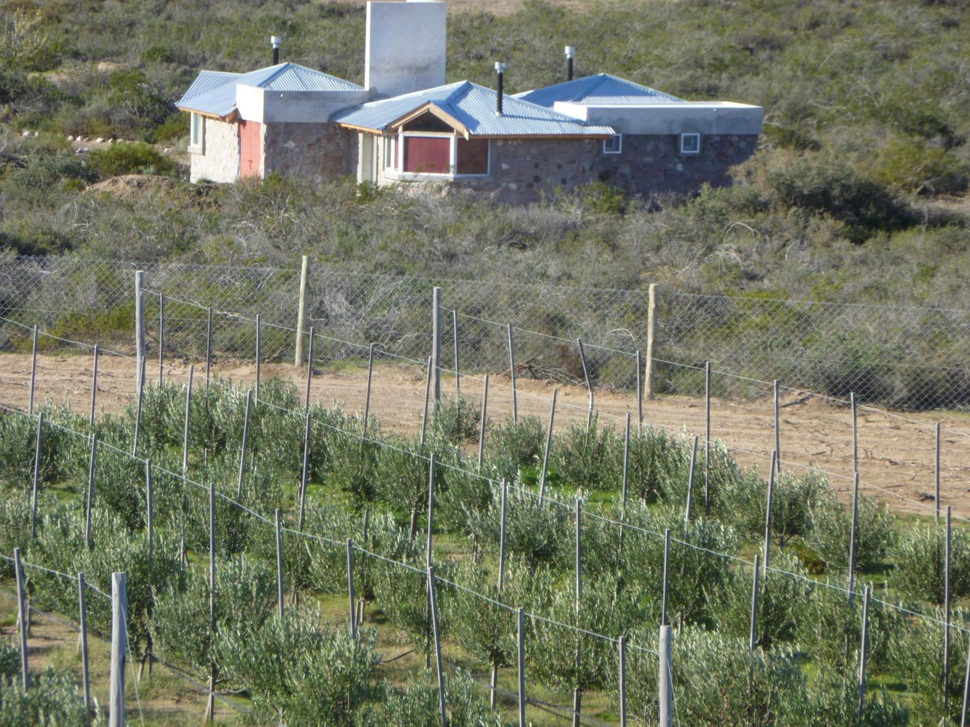 La Calandria Casa De Campo Villa Puerto Madryn Luaran gambar