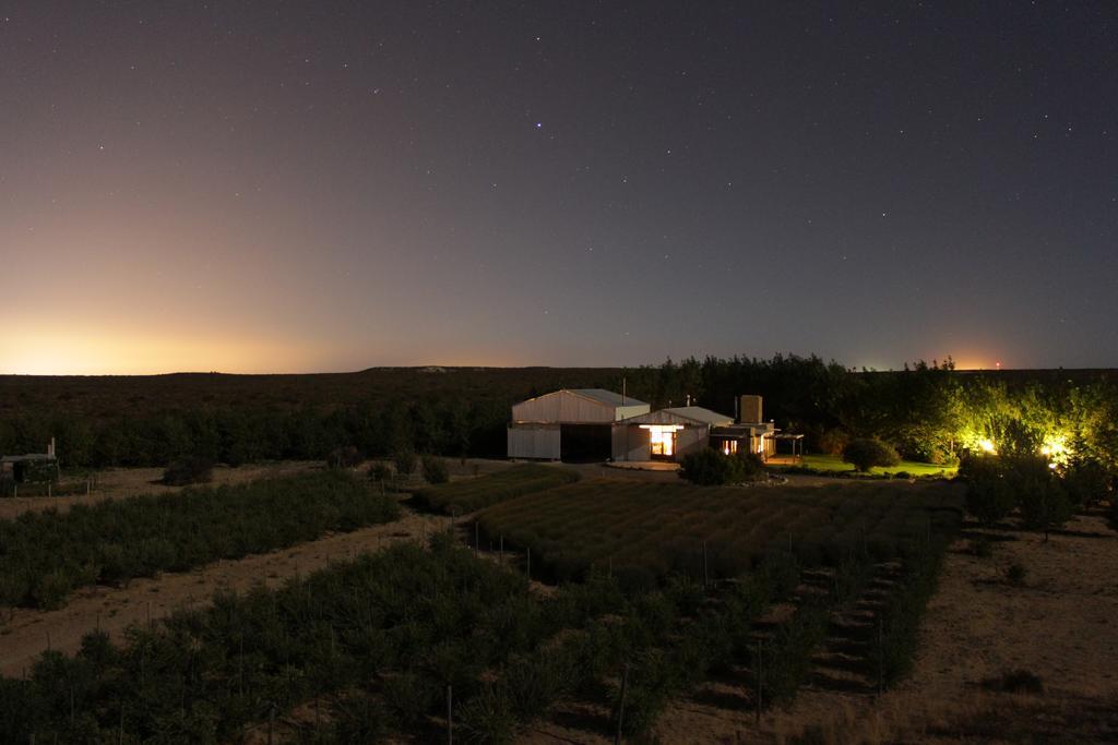 La Calandria Casa De Campo Villa Puerto Madryn Luaran gambar