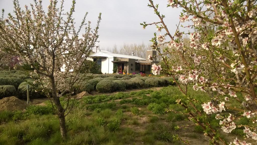 La Calandria Casa De Campo Villa Puerto Madryn Luaran gambar