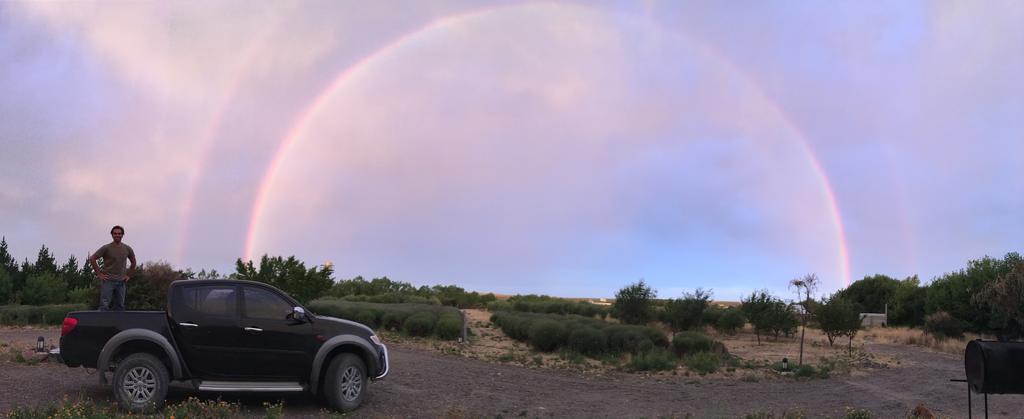 La Calandria Casa De Campo Villa Puerto Madryn Luaran gambar
